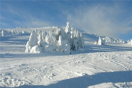 http://image4.cnpp.cn/upload/images/20161204/15044564069_550x367.jpg